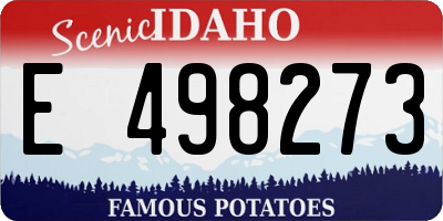 ID license plate E498273