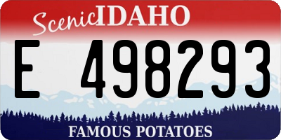 ID license plate E498293
