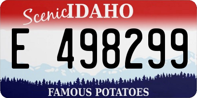 ID license plate E498299