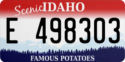 ID license plate E498303