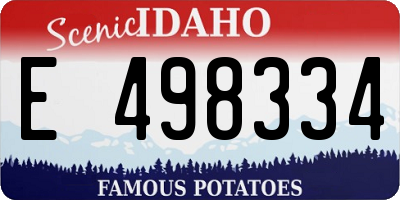 ID license plate E498334