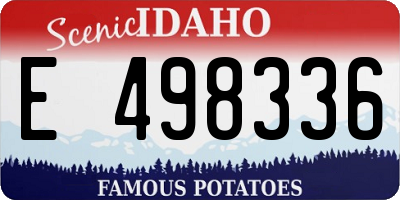 ID license plate E498336