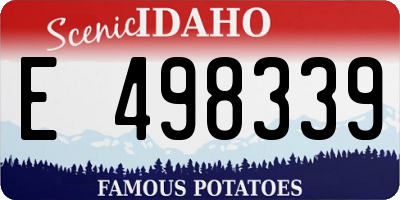ID license plate E498339