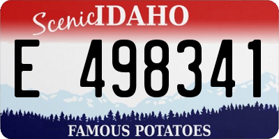 ID license plate E498341