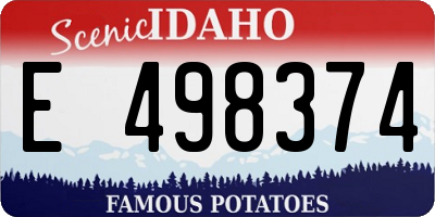 ID license plate E498374