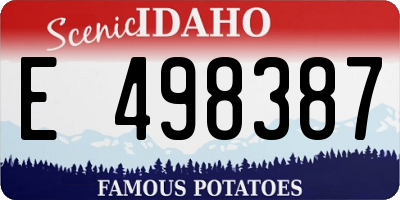 ID license plate E498387