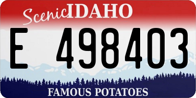 ID license plate E498403