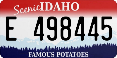 ID license plate E498445