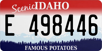 ID license plate E498446