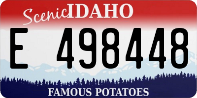 ID license plate E498448
