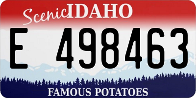 ID license plate E498463