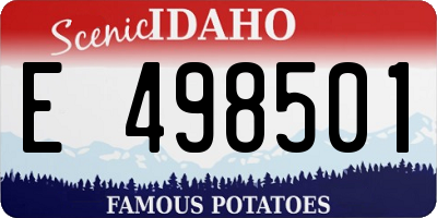 ID license plate E498501