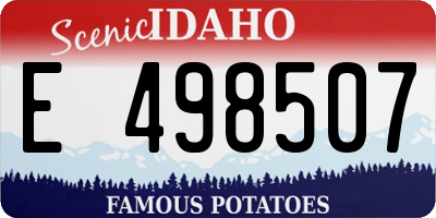 ID license plate E498507