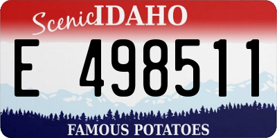 ID license plate E498511