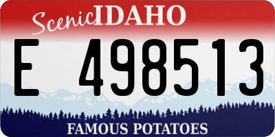 ID license plate E498513