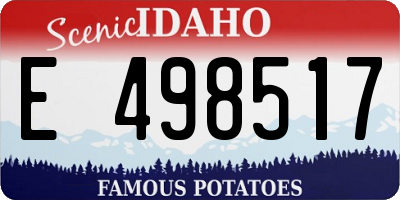 ID license plate E498517