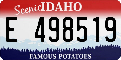 ID license plate E498519