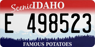 ID license plate E498523