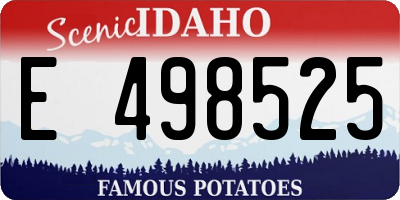 ID license plate E498525