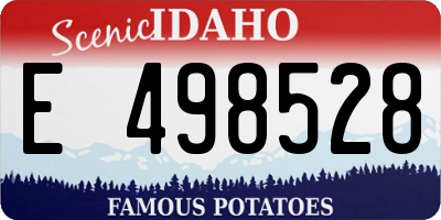 ID license plate E498528