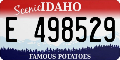ID license plate E498529