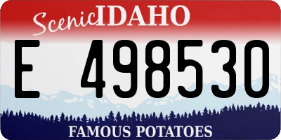 ID license plate E498530