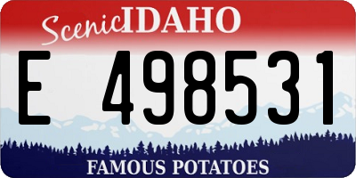 ID license plate E498531