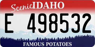 ID license plate E498532