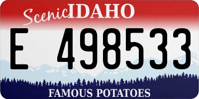 ID license plate E498533