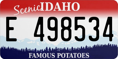 ID license plate E498534