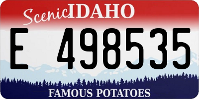 ID license plate E498535