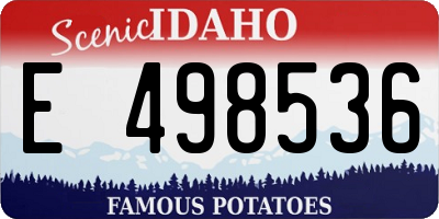 ID license plate E498536