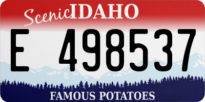 ID license plate E498537