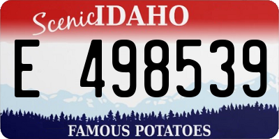 ID license plate E498539