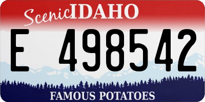ID license plate E498542