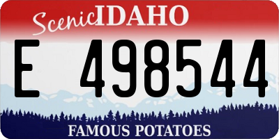 ID license plate E498544
