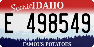 ID license plate E498549