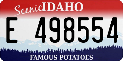 ID license plate E498554