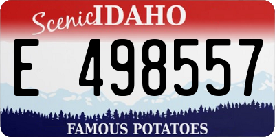 ID license plate E498557