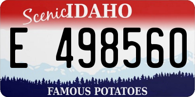 ID license plate E498560