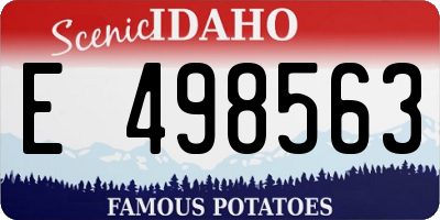 ID license plate E498563