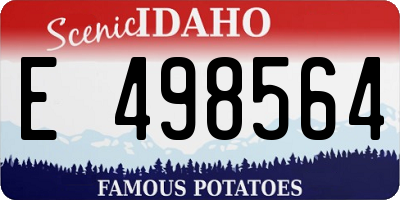 ID license plate E498564
