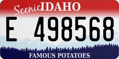 ID license plate E498568