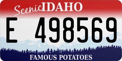 ID license plate E498569