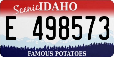 ID license plate E498573