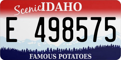 ID license plate E498575