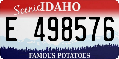 ID license plate E498576