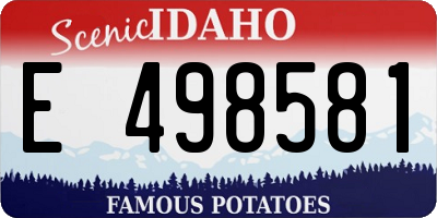 ID license plate E498581