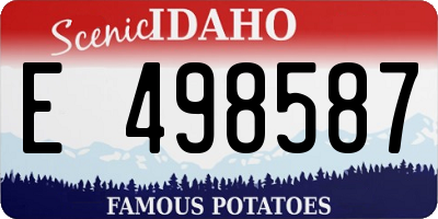 ID license plate E498587