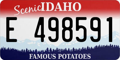 ID license plate E498591